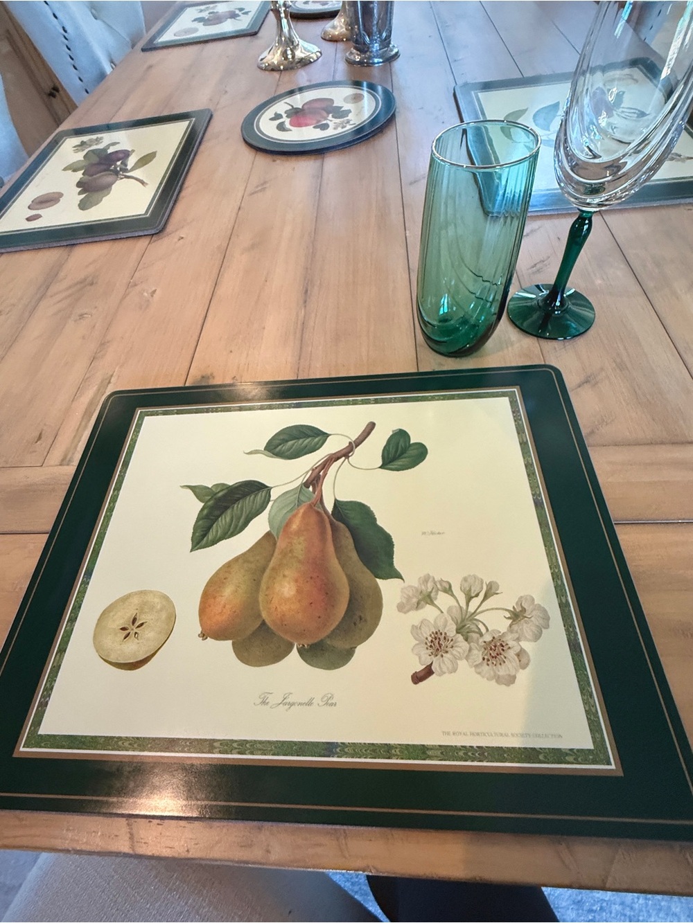 Pimpernel RHS Collection Cork Placemats Set 4 Botanical Fruit Hooker